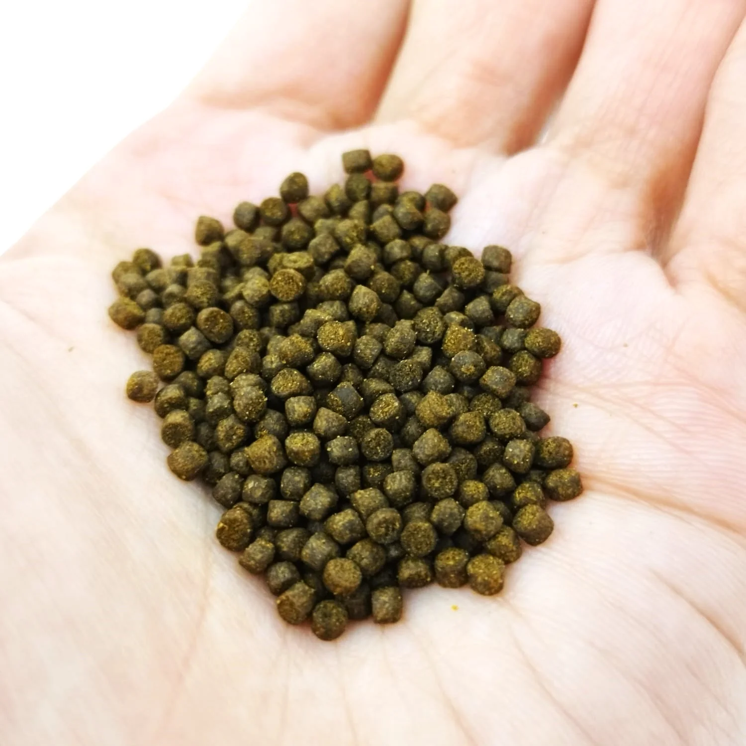 ANS Hi Protein Floating Pellet (M pellet) 930g - Image 2