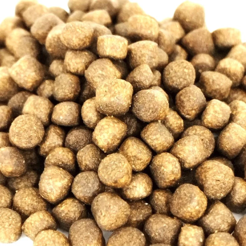 ANS Hi Protein Floating Pellet (M pellet) 930g - Image 3