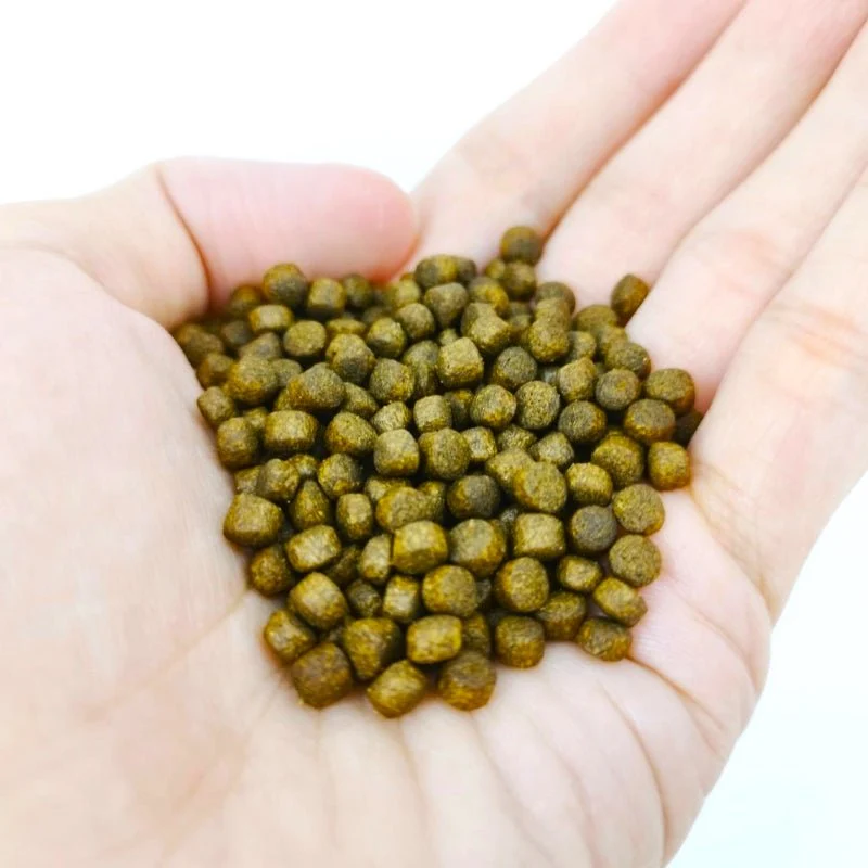 ANS Hi Protein Floating Pellet (S pellet) 1000g - Image 2