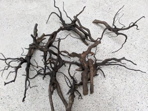 ANS Kusri Driftwood (Random Pick) - Image 8
