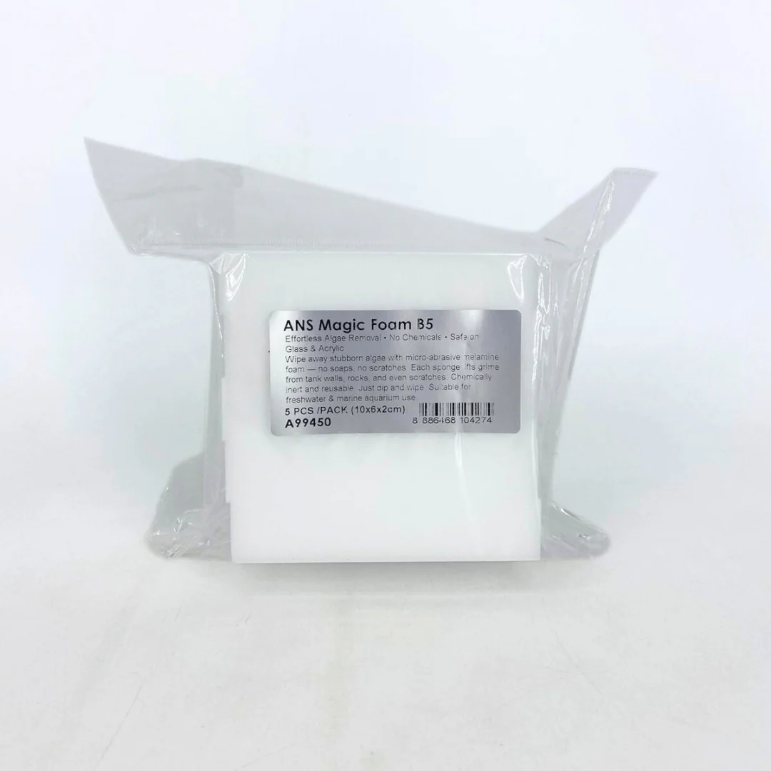 ANS Magic Foam B5 (10x6x2cm)