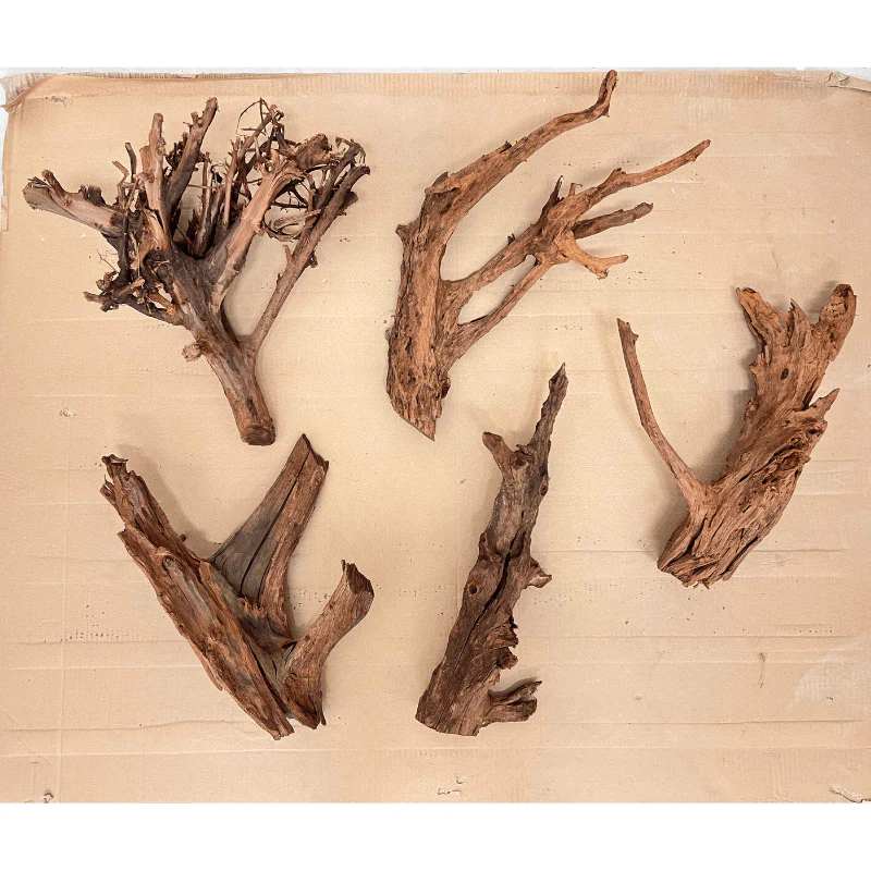 ANS Malayan Aquascape Driftwood L (40-48cm) - Image 2