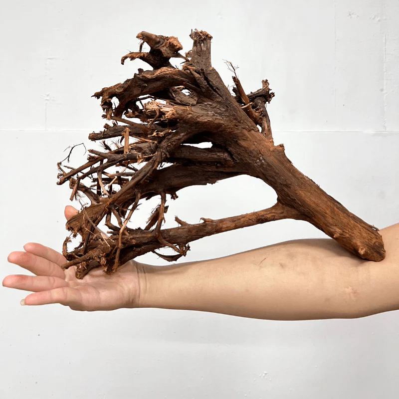 ANS Malayan Aquascape Driftwood L (40-48cm) - Image 5