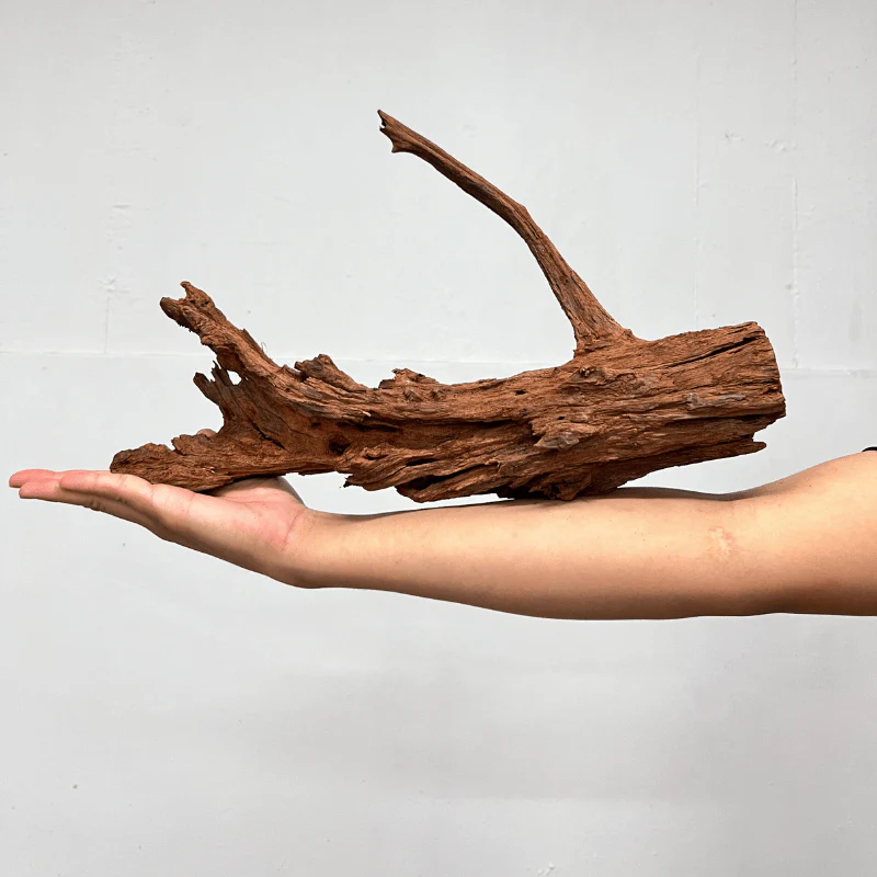 ANS Malayan Aquascape Driftwood L (40-48cm) - Image 6