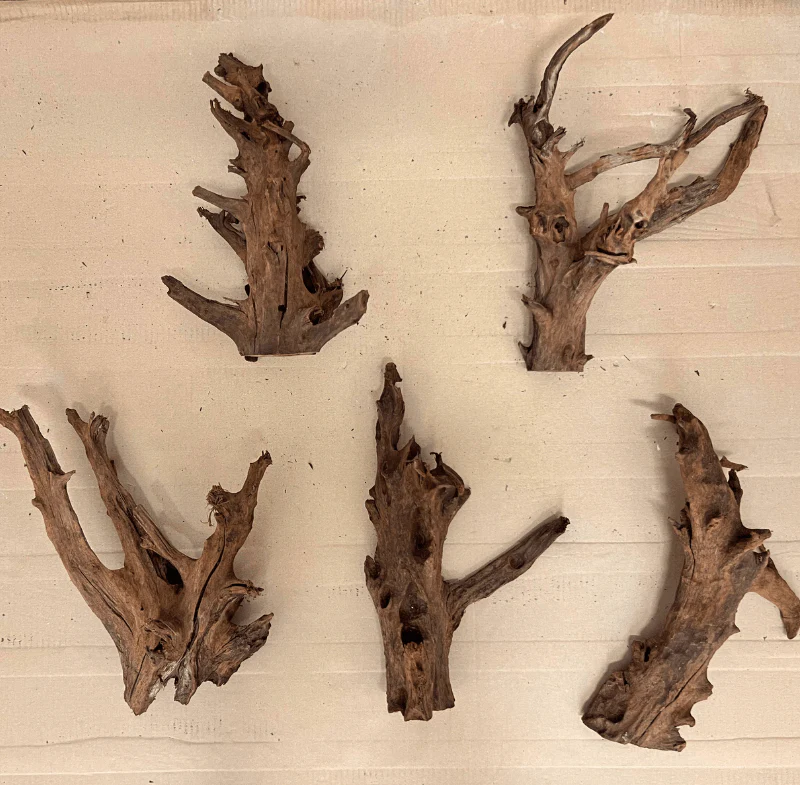 ANS Malayan Aquascape Driftwood M (30-38cm) - Image 2