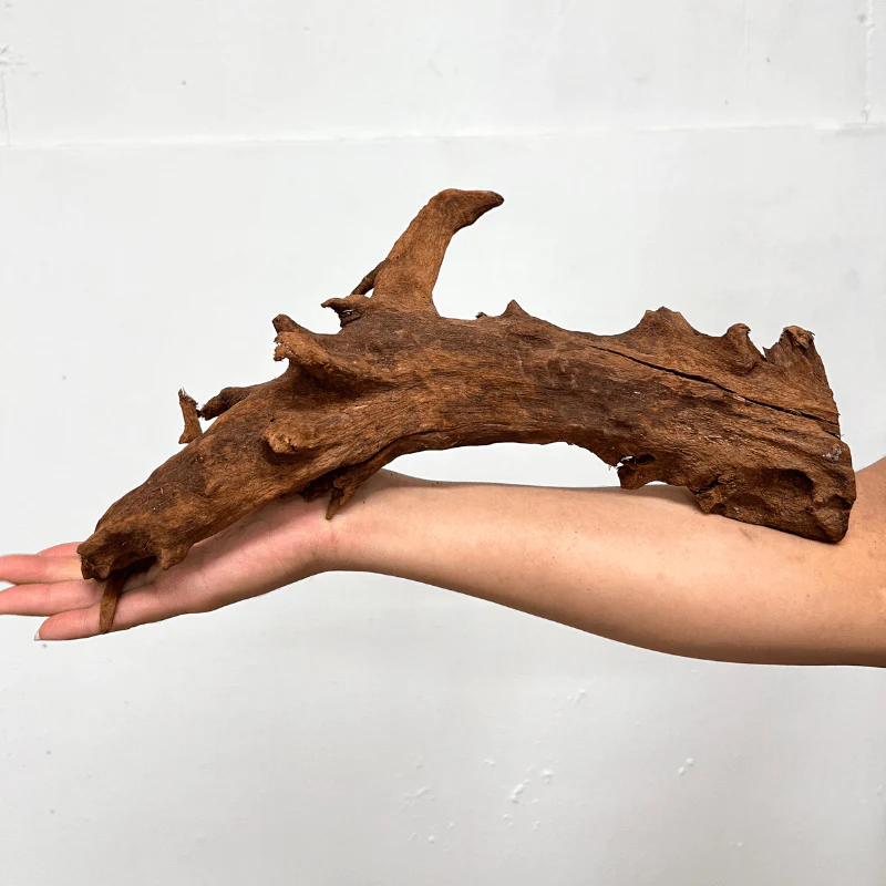 ANS Malayan Aquascape Driftwood M (30-38cm) - Image 5