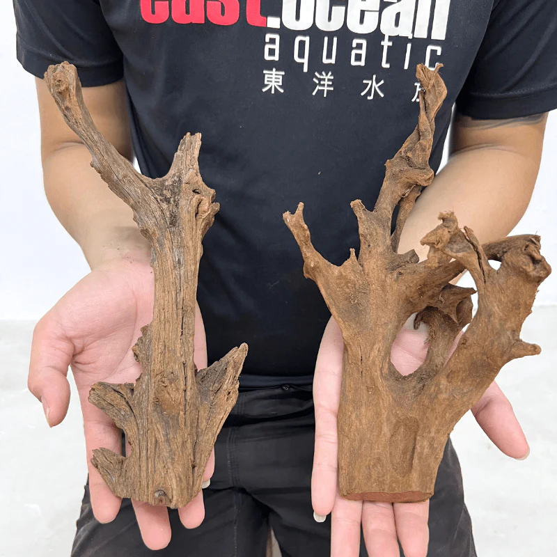 ANS Malayan Aquascape Driftwood S (20-30cm) - Image 3