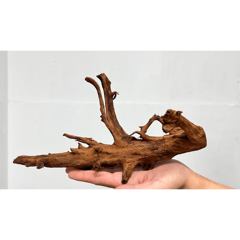 ANS Malayan Aquascape Driftwood S (20-30cm) - Image 7