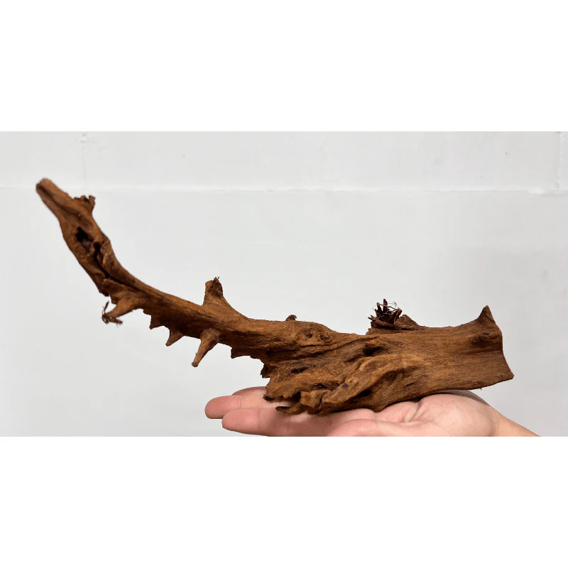 ANS Malayan Aquascape Driftwood S (20-30cm) - Image 8