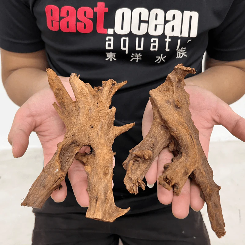 ANS Malayan Aquascape Driftwood SS (15-20cm) - Image 2