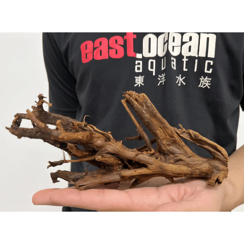 ANS Malayan Aquascape Driftwood SS (15-20cm) - Image 8