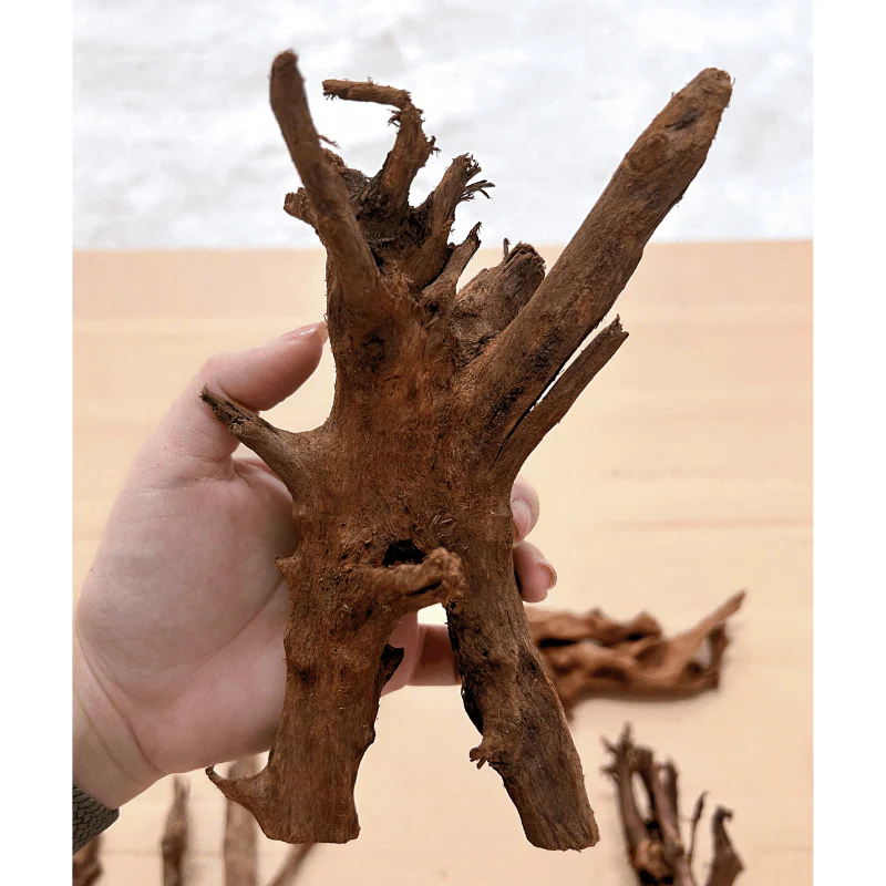 ANS Malayan Aquascape Driftwood SS (15-20cm) - Image 9
