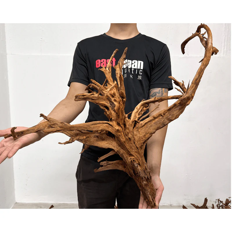 ANS Malayan Aquascape Driftwood XL (50-63cm) - Image 2