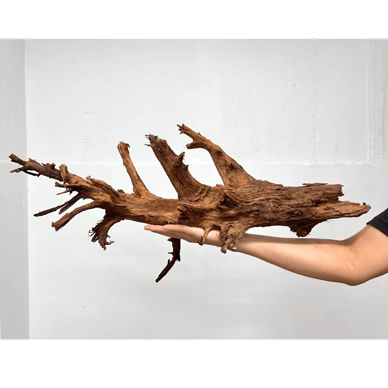 ANS Malayan Aquascape Driftwood XL (50-63cm) - Image 5