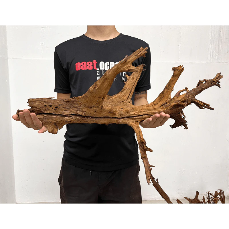 ANS Malayan Aquascape Driftwood XL (50-63cm) - Image 6