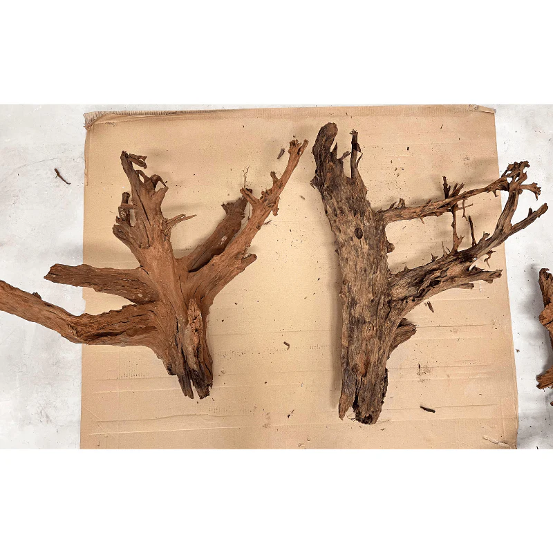 ANS Malayan Aquascape Driftwood XXL (70-80cm) - Image 2