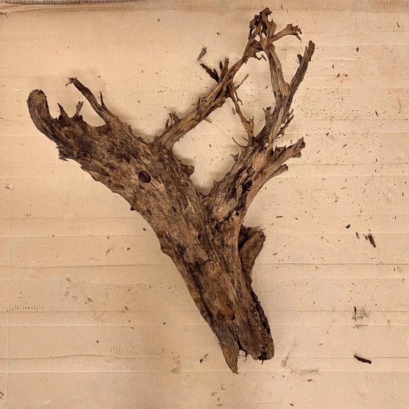ANS Malayan Aquascape Driftwood XXL (70-80cm) - Image 7