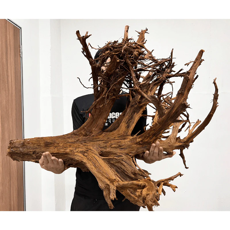 ANS Malayan Aquascape Driftwood XXXL (90-120cm) - Image 2