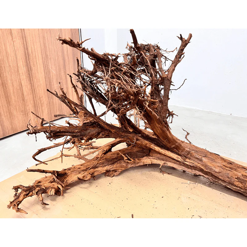 ANS Malayan Aquascape Driftwood XXXL (90-120cm) - Image 6