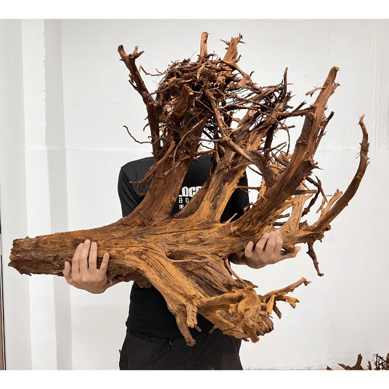 ANS Malayan Aquascape Driftwood XXXL (90-120cm) - Image 7