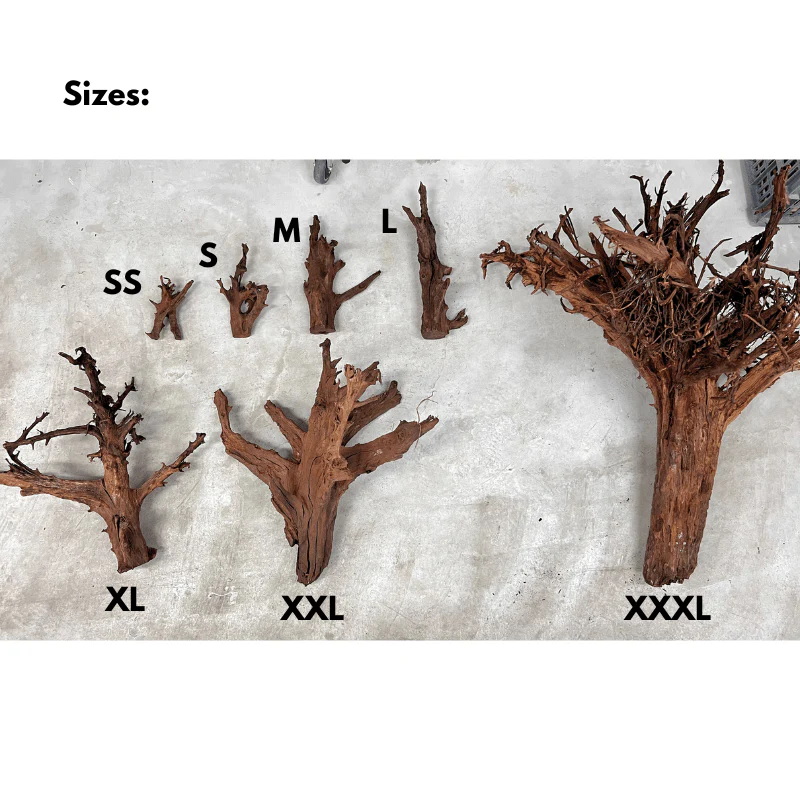 ANS Malayan Aquascape Driftwood L (40-48cm) - Image 8