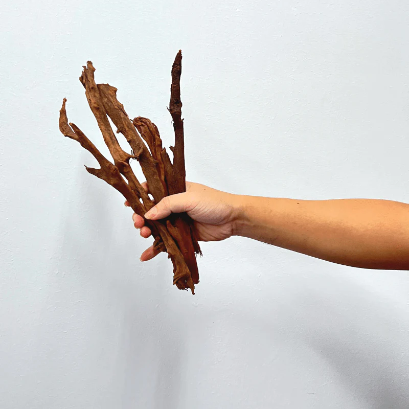 ANS Malayan Aquascape Stick M (20-40cm) - Image 2