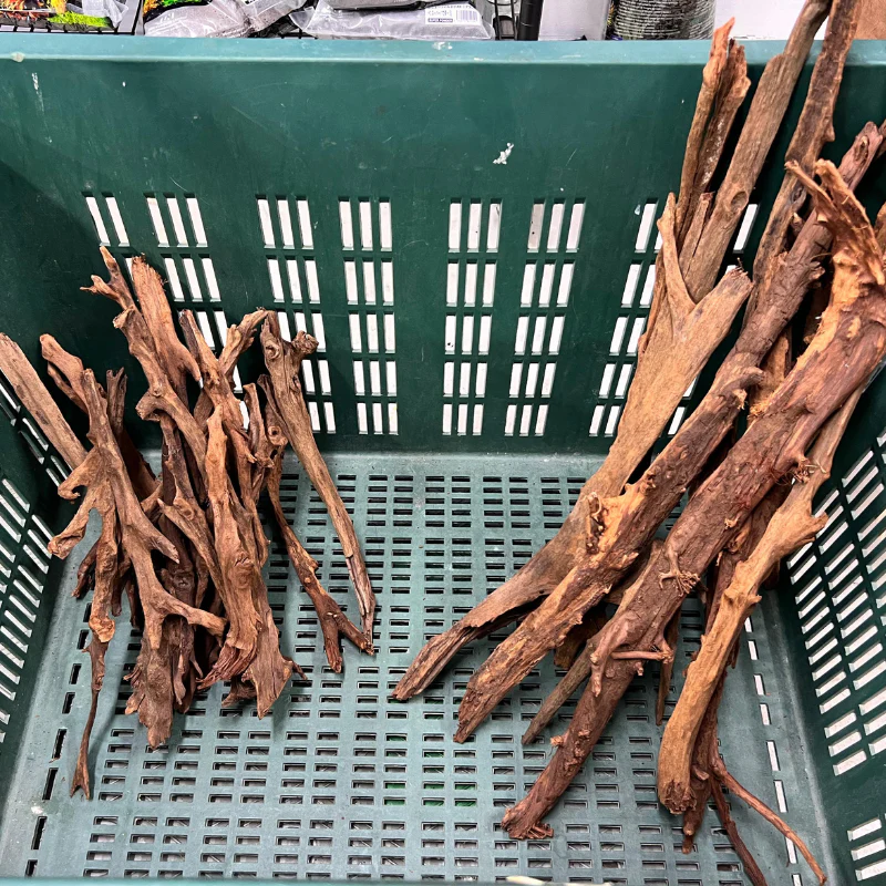ANS Malayan Aquascape Stick M (20-40cm) - Image 3