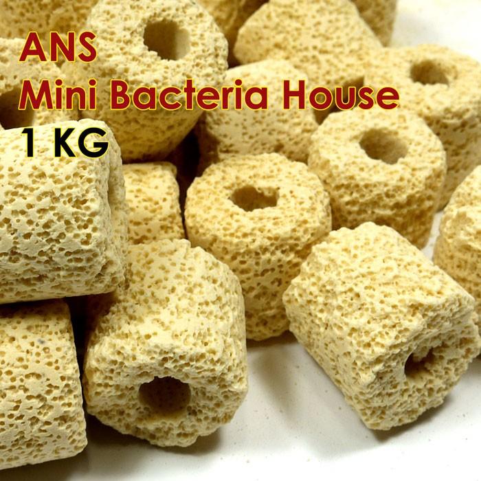 ANS Mini Bacteria House (2.5cm) 1kg - Image 3