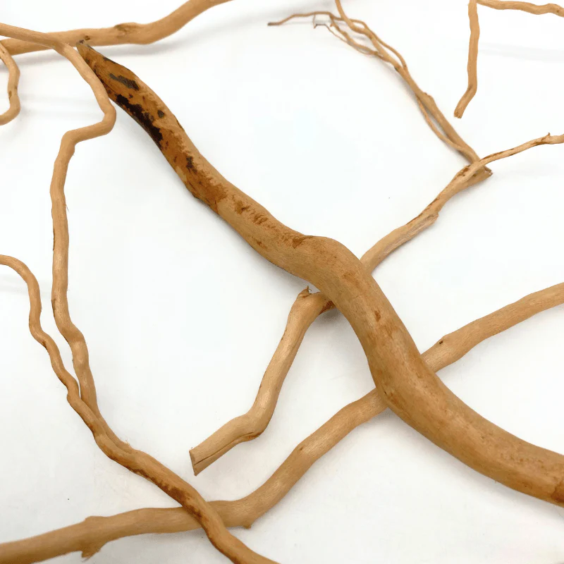 ANS Nature Twigs 100g/200g - Image 5