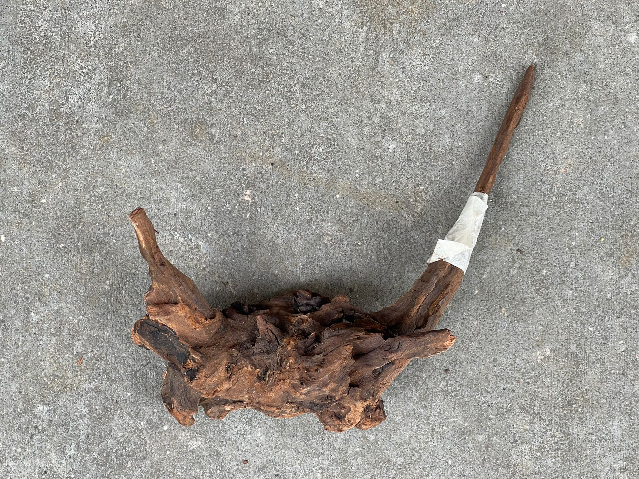 ANS Old Black Driftwood (Various size) - Image 12