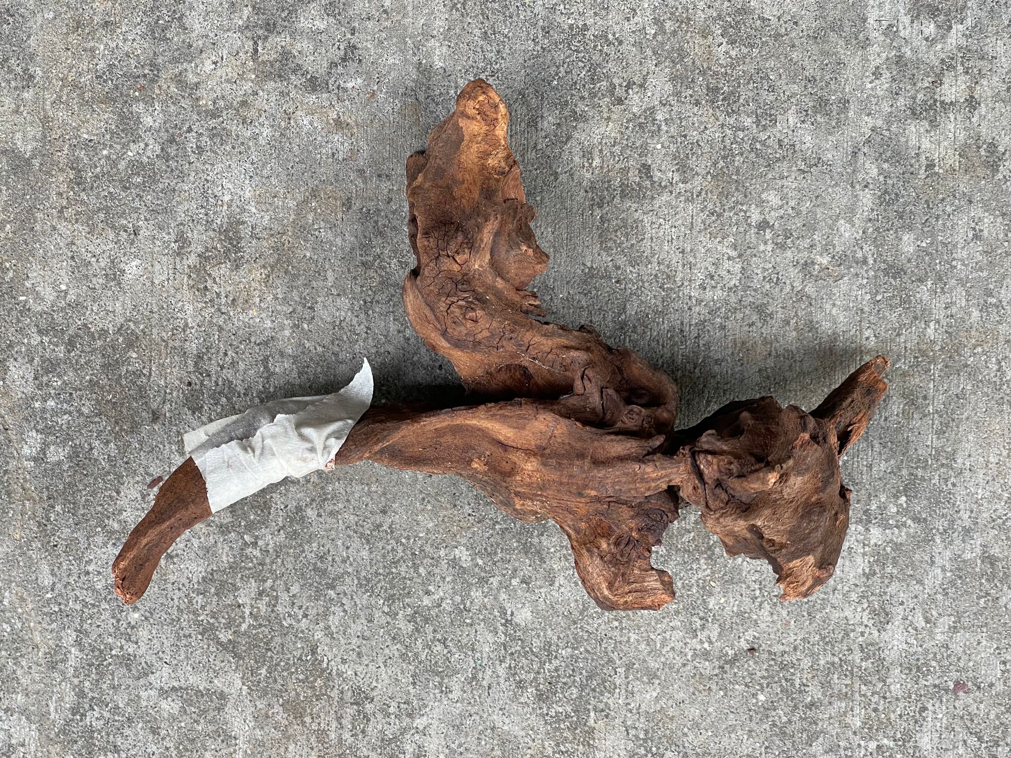 ANS Old Black Driftwood (Various size) - Image 13