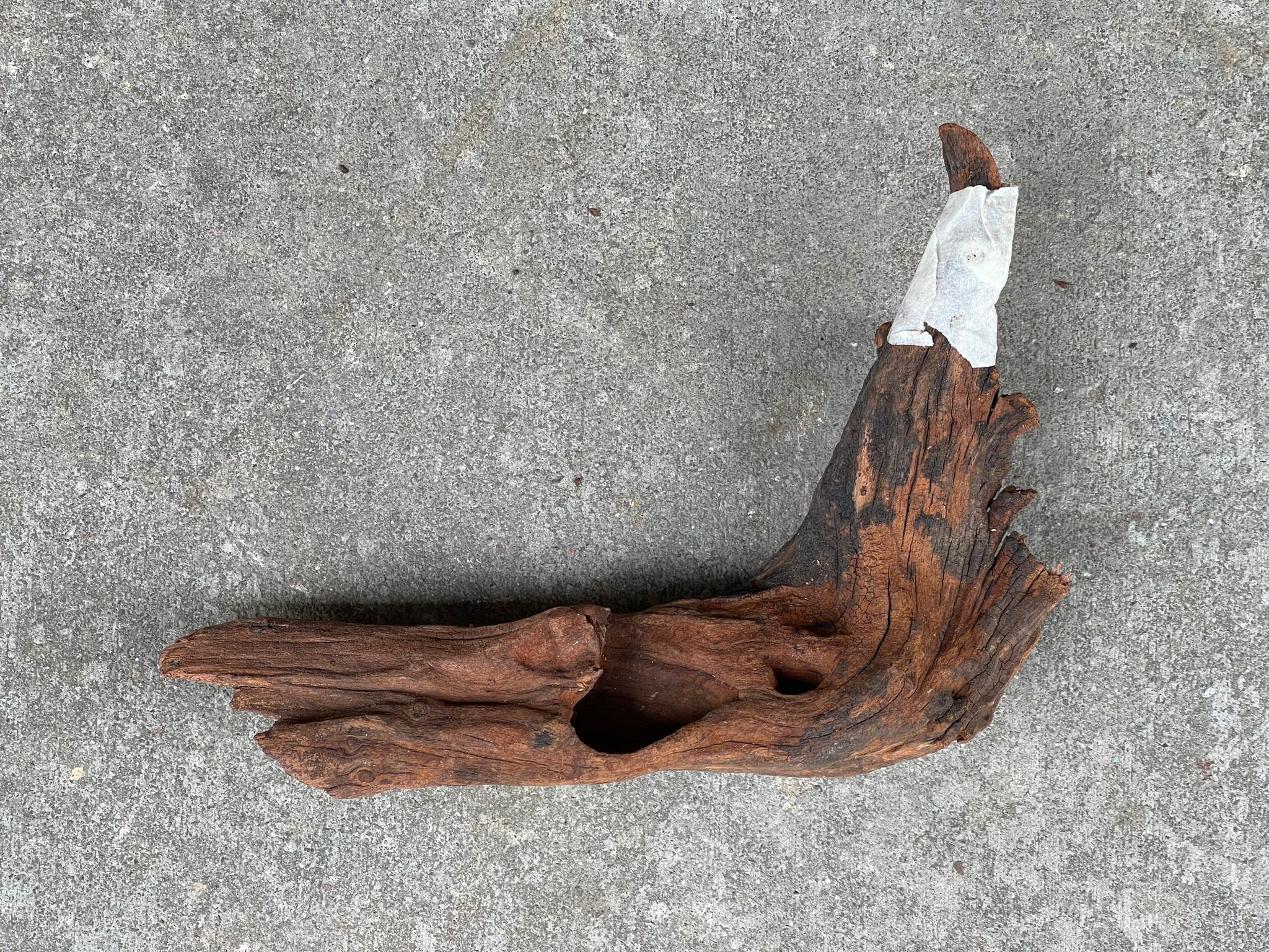 ANS Old Black Driftwood (Various size) - Image 14