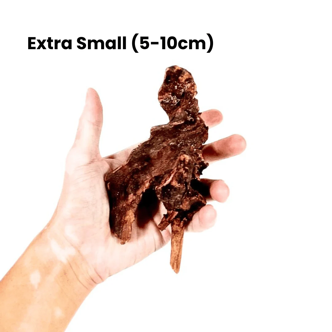 ANS Old Black Driftwood (Various size) - Image 3