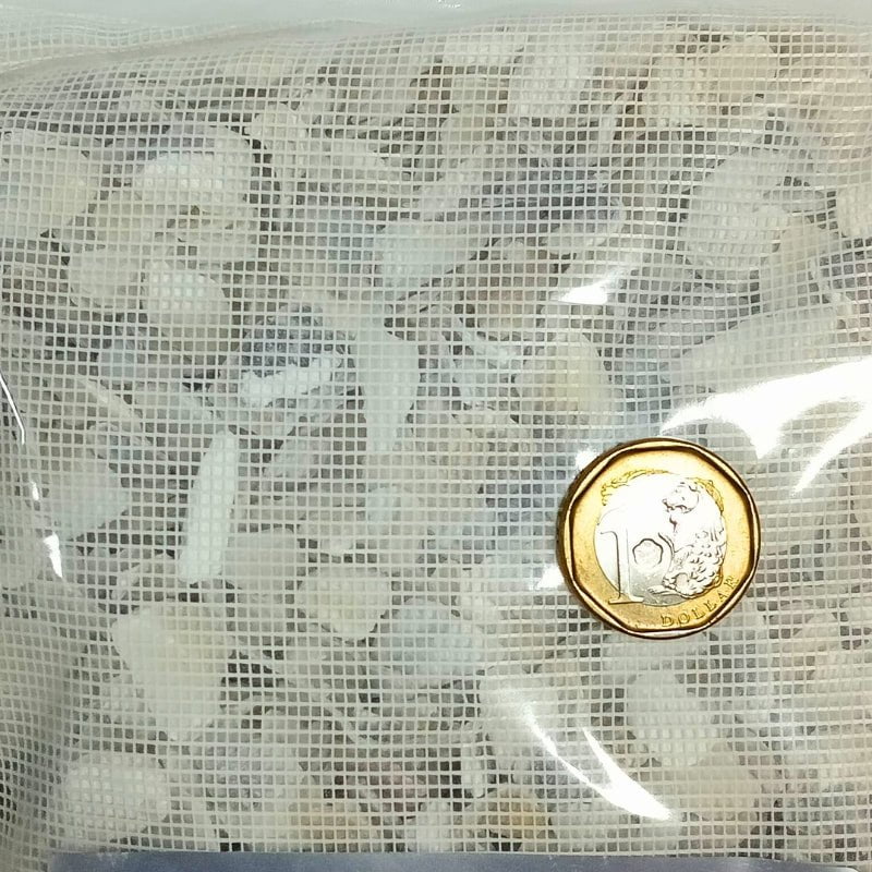 ANS Oyster Bits (500/1000g) (pH and kH stabilising) - Image 4