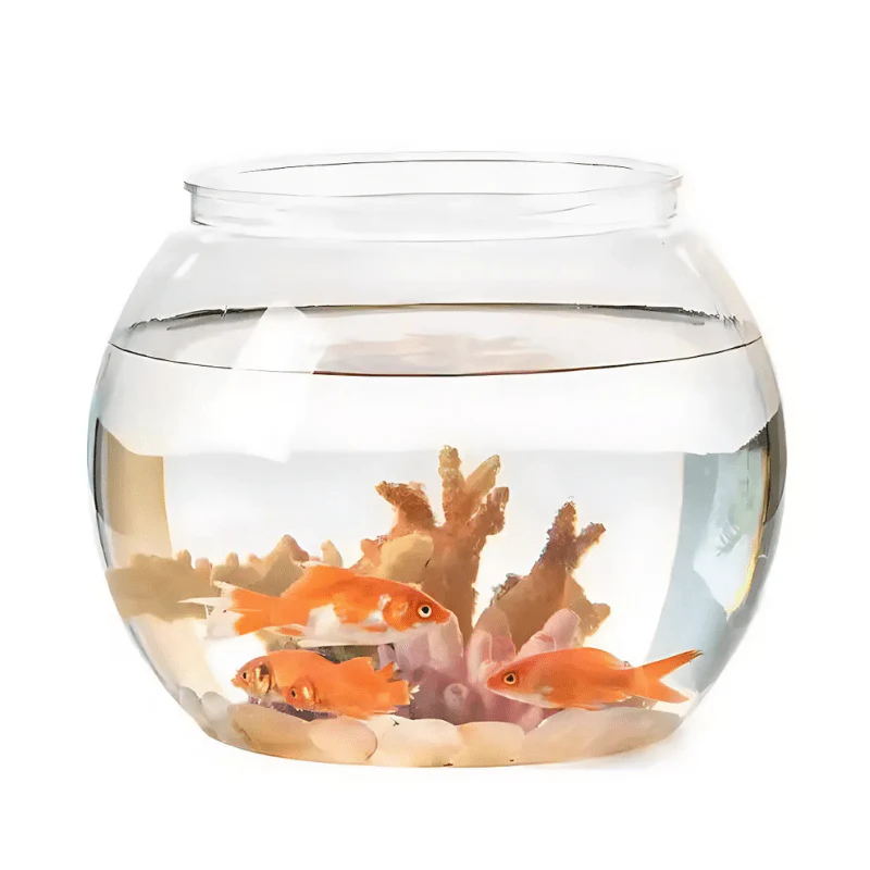 ANS Plastic Fish Bowl (Various size) (high clarity PP material) - Image 2
