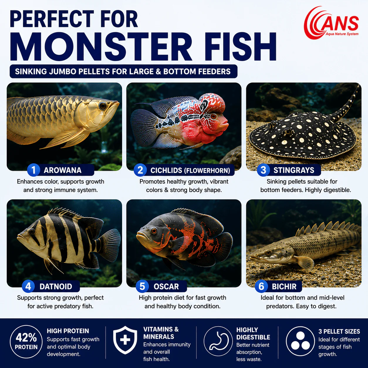ANS Sinking Jumbo Pellets (S/M/L) - Image 4