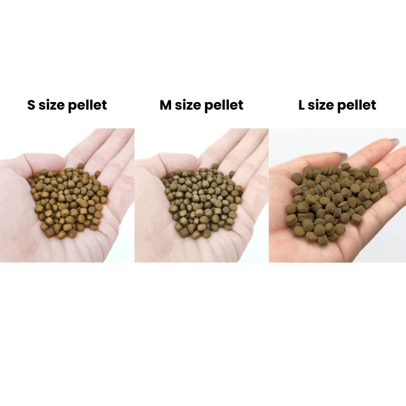 ANS Sinking Jumbo Pellets (S/M/L) - Image 8