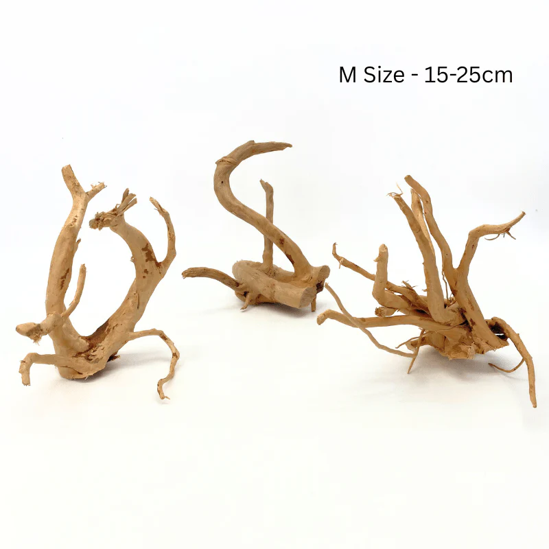 ANS Spider Wood Deco (Various size)