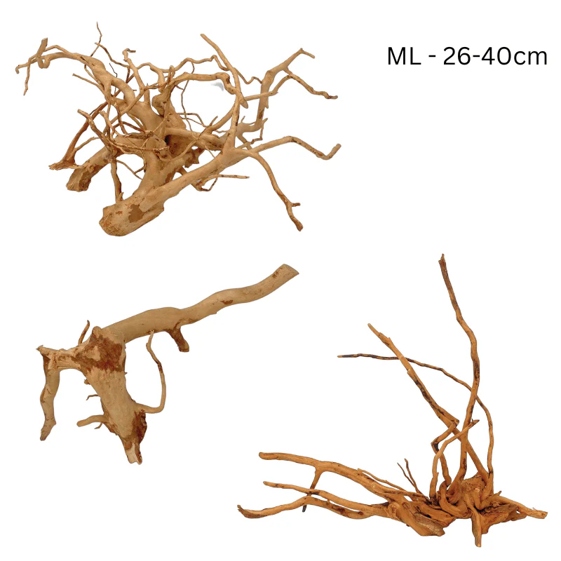 ANS Spider Wood Deco (Various size) - Image 2