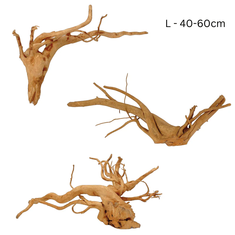 ANS Spider Wood Deco (Various size) - Image 3