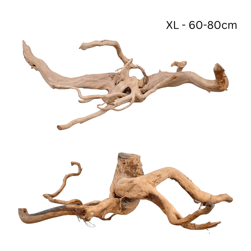 ANS Spider Wood Deco (Various size) - Image 4