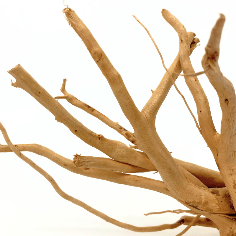 ANS Spider Wood Deco (Various size) - Image 6