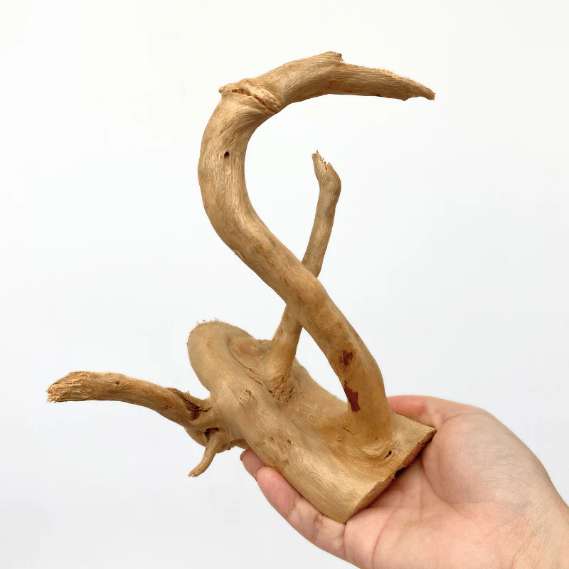 ANS Spider Wood Deco (Various size) - Image 7