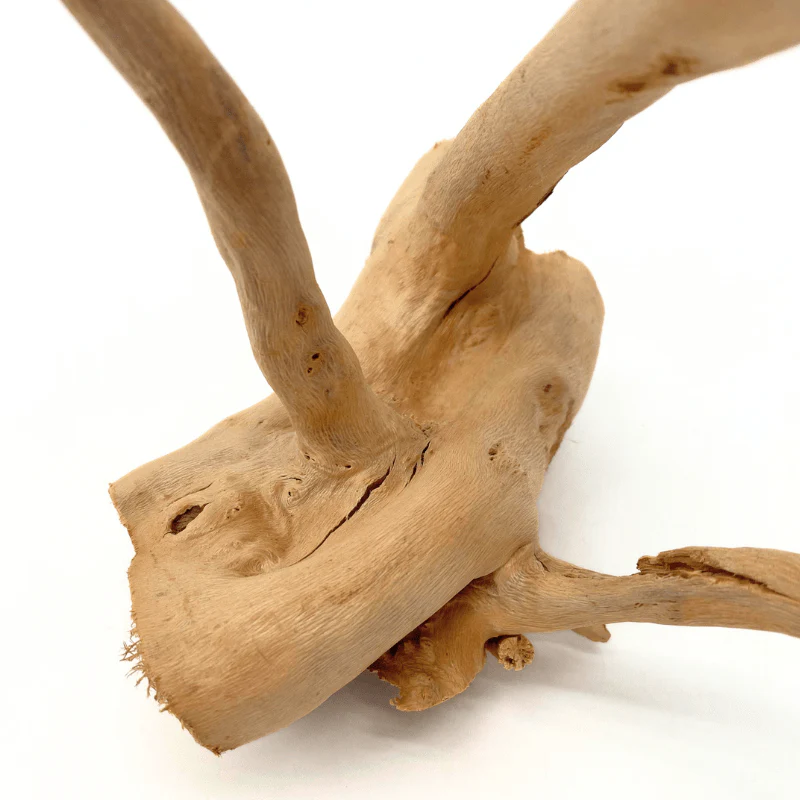 ANS Spider Wood Deco (Various size) - Image 8