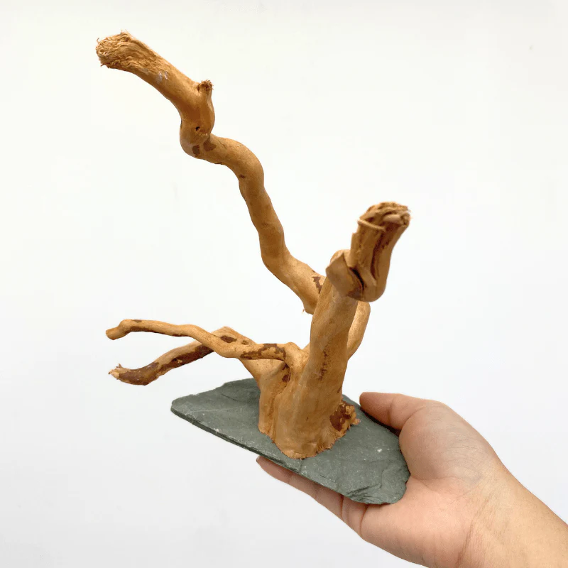 ANS Spider Wood Sculpture (S,M,L) - Image 2