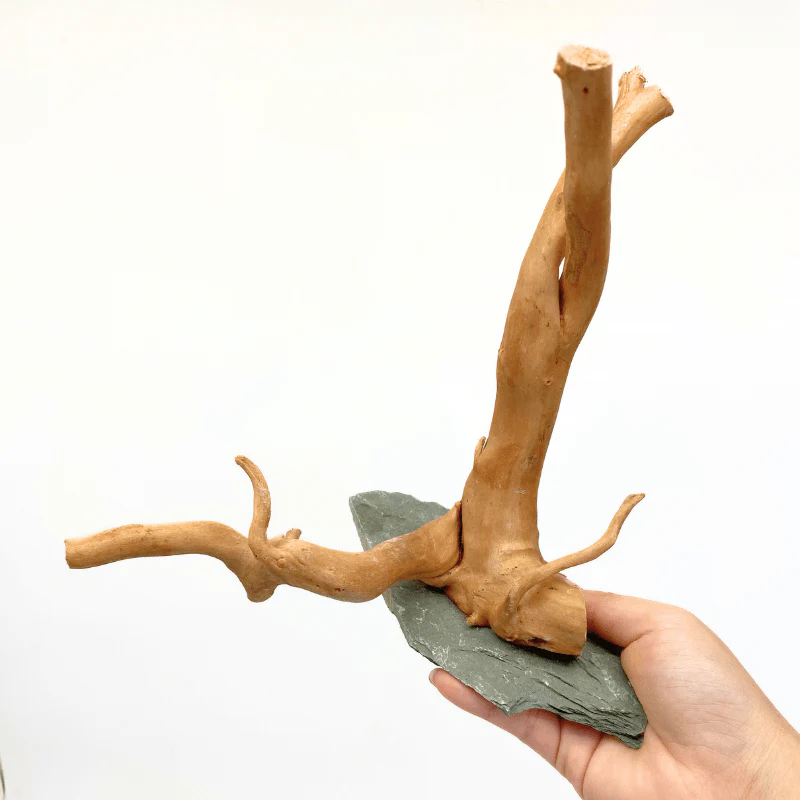 ANS Spider Wood Sculpture (S,M,L) - Image 4