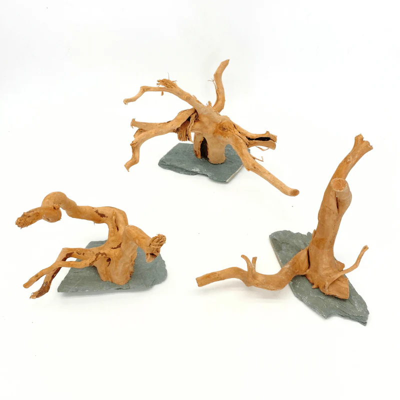 ANS Spider Wood Sculpture (S,M,L) - Image 5