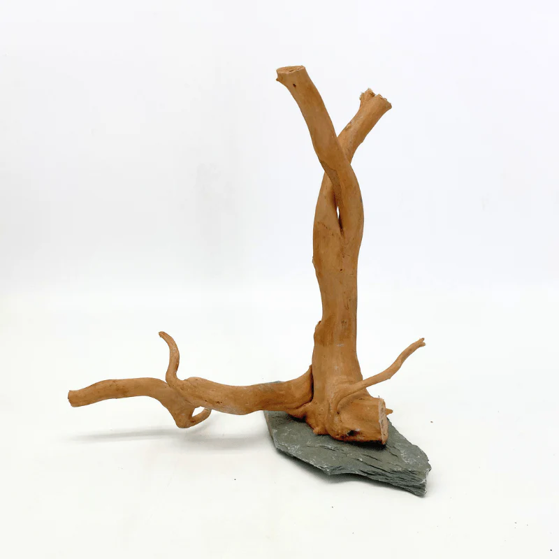 ANS Spider Wood Sculpture (S,M,L) - Image 6