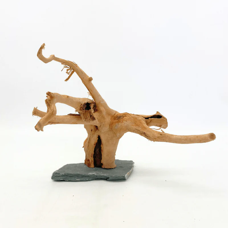 ANS Spider Wood Sculpture (S,M,L) - Image 7