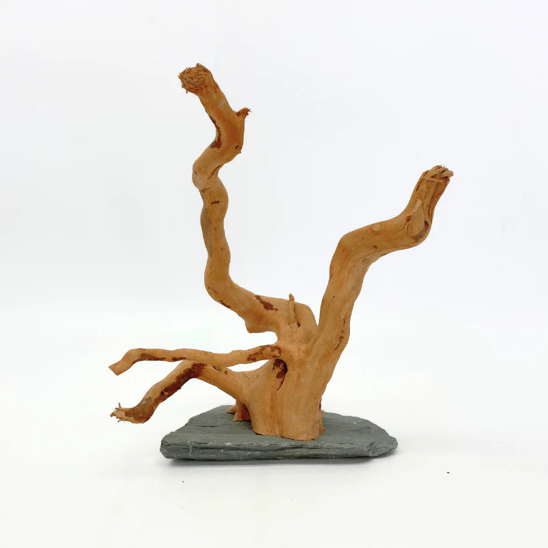 ANS Spider Wood Sculpture (S,M,L) - Image 8